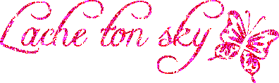 skyblog